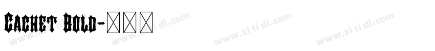 Cachet Bold字体转换